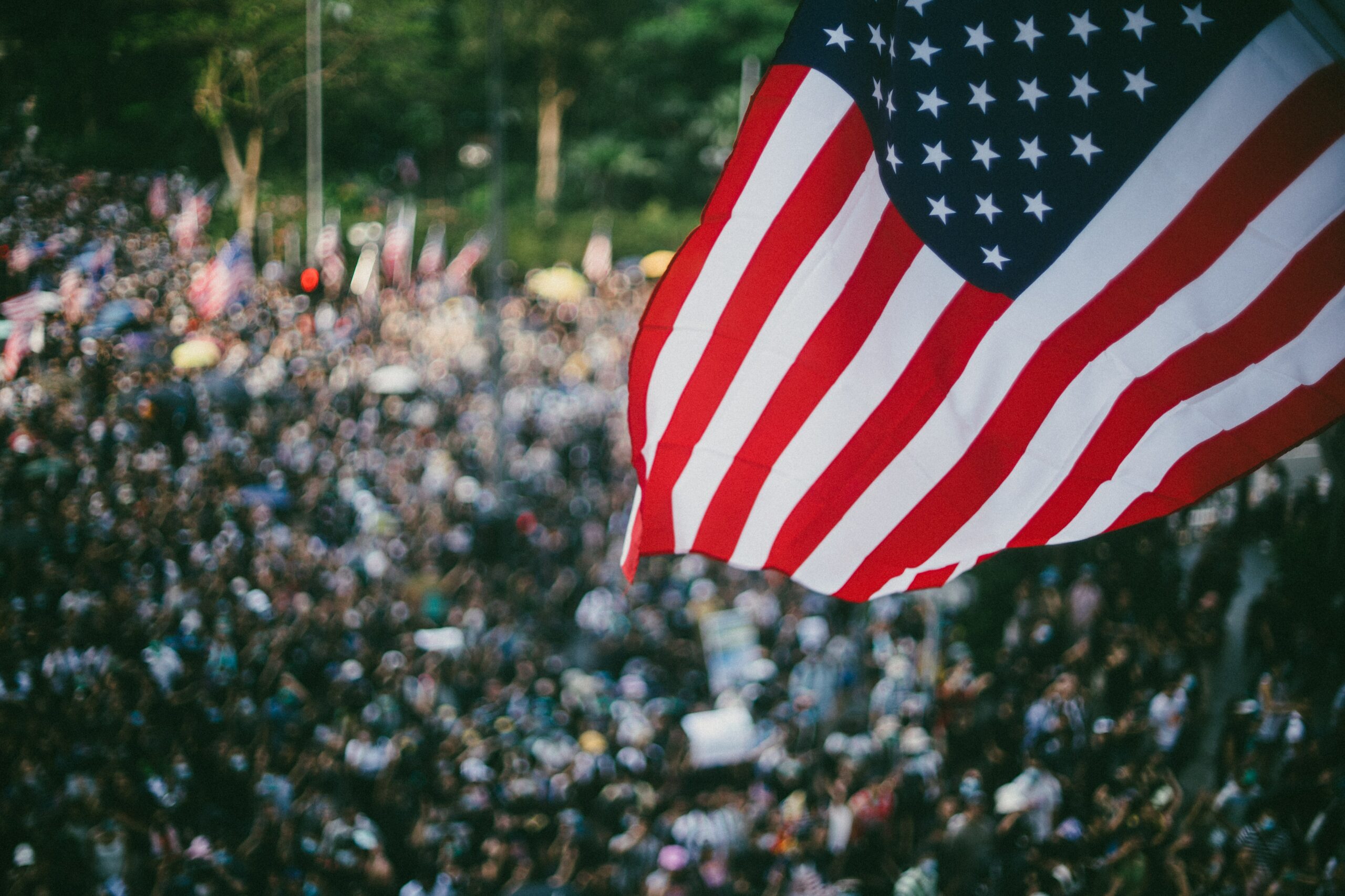 Protest for American Democratic Values